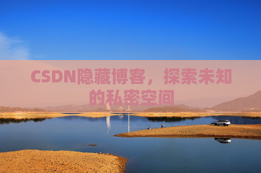 CSDN隐藏博客，探索未知的私密空间